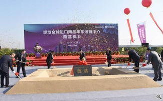 江蘇省建筑工程集團 卓越工程建設活動的領航者